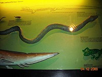 2009-PAStateMuseum-044.jpg