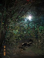 2009-PAStateMuseum-051.jpg