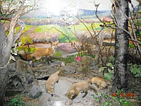 2009-PAStateMuseum-052.jpg