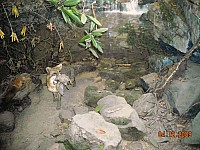 2009-PAStateMuseum-053.jpg