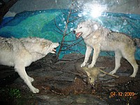 2009-PAStateMuseum-054.jpg