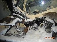 2009-PAStateMuseum-055.jpg