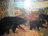 2009-PAStateMuseum-058.jpg
