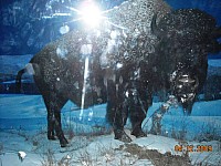 2009-PAStateMuseum-064.jpg