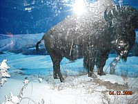 2009-PAStateMuseum-065.jpg