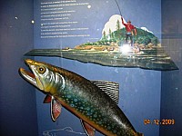 2009-PAStateMuseum-066.jpg