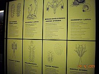 2009-PAStateMuseum-068.jpg