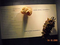2009-PAStateMuseum-069.jpg