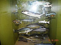 2009-PAStateMuseum-070.jpg
