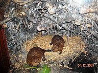 2009-PAStateMuseum-071.jpg