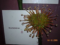 2009-PAStateMuseum-072.jpg