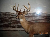 2009-PAStateMuseum-074.jpg