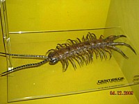 2009-PAStateMuseum-077.jpg