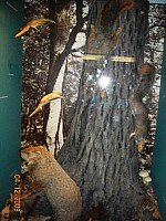 2009-PAStateMuseum-078.jpg
