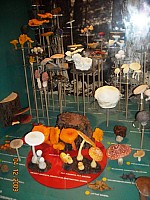 2009-PAStateMuseum-080.jpg