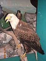 2009-PAStateMuseum-081.jpg