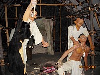 2009-PAStateMuseum-095.jpg