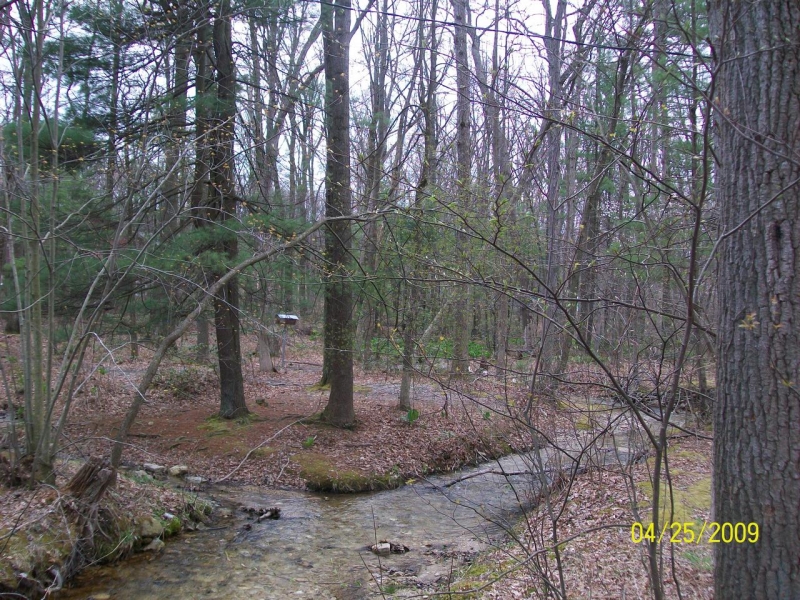 2009-04-SpringCamporall-037.jpg
