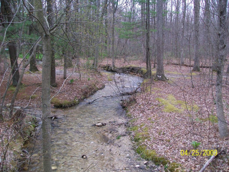 2009-04-SpringCamporall-039.jpg