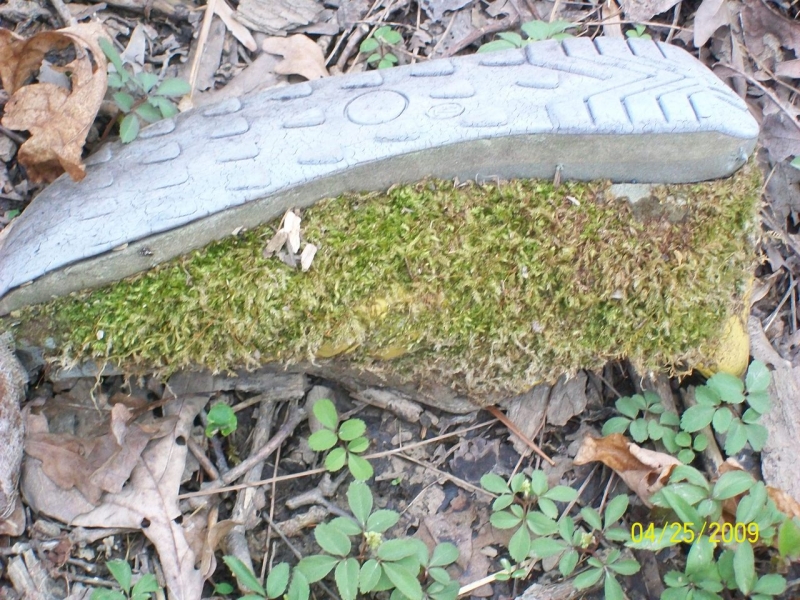2009-04-SpringCamporall-041.jpg