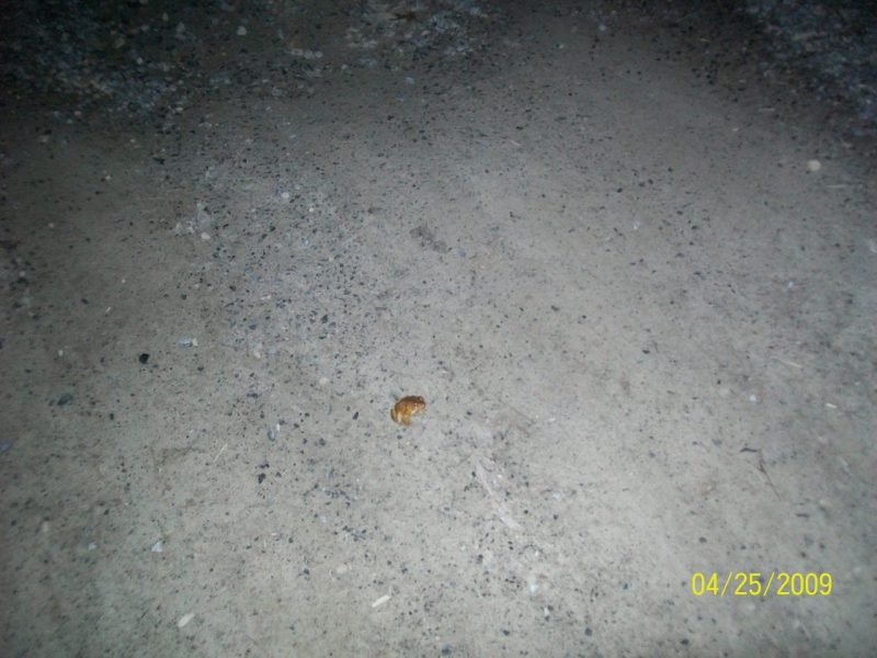 2009-04-SpringCamporall-101.jpg