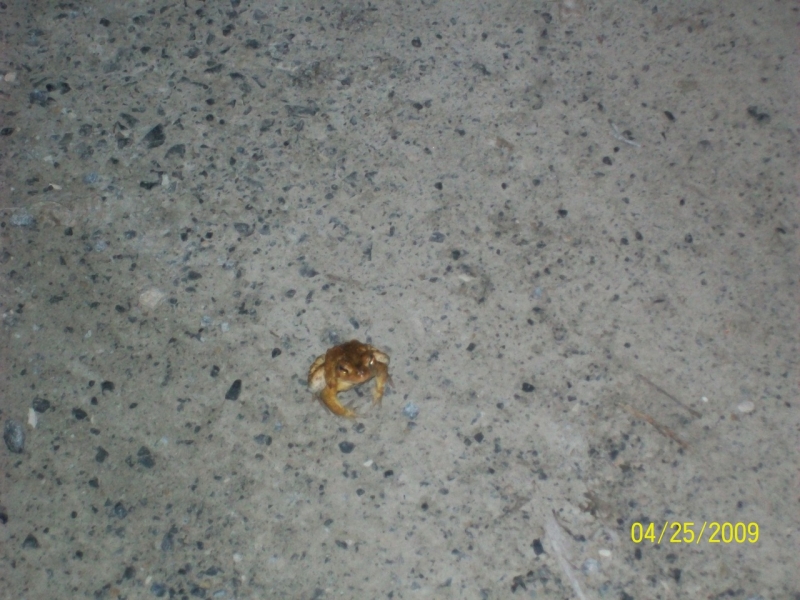 2009-04-SpringCamporall-102.jpg