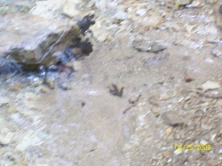 2009-04-SpringCamporall-036.jpg