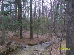 2009-04-SpringCamporall-037.jpg