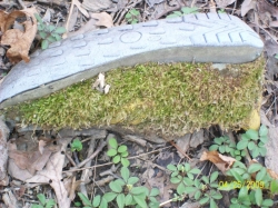 2009-04-SpringCamporall-041.jpg