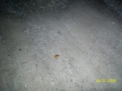2009-04-SpringCamporall-101.jpg
