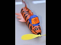 2009-RocketDerby-012.jpg