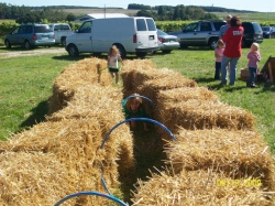 2009-09-MusicFestival-011.jpg