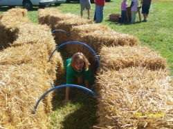 2009-09-MusicFestival-012.jpg