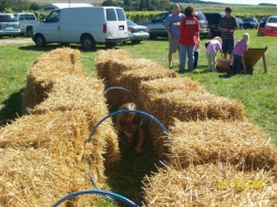 2009-09-MusicFestival-013.jpg