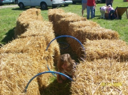 2009-09-MusicFestival-014.jpg