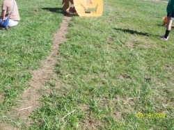 2009-09-MusicFestival-015.jpg