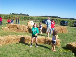 2009-09-MusicFestival-017.jpg