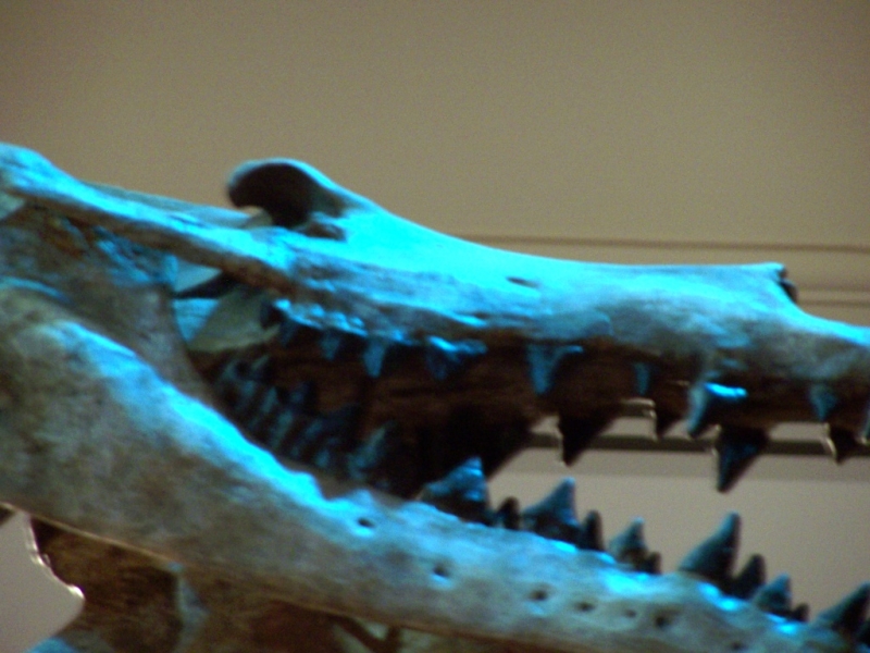 2010-01-ScoutDCMuseums-014.jpg