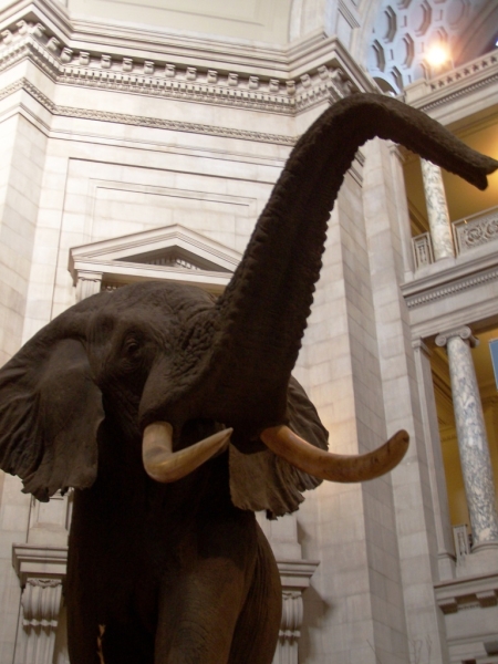 2010-01-ScoutDCMuseums-020.jpg