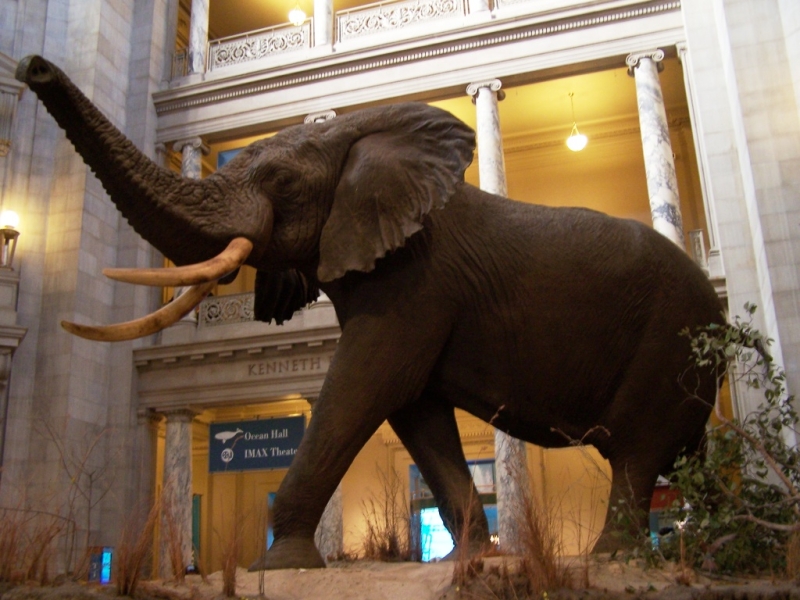 2010-01-ScoutDCMuseums-022.jpg