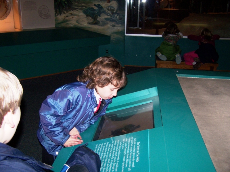 2010-01-ScoutDCMuseums-028.jpg