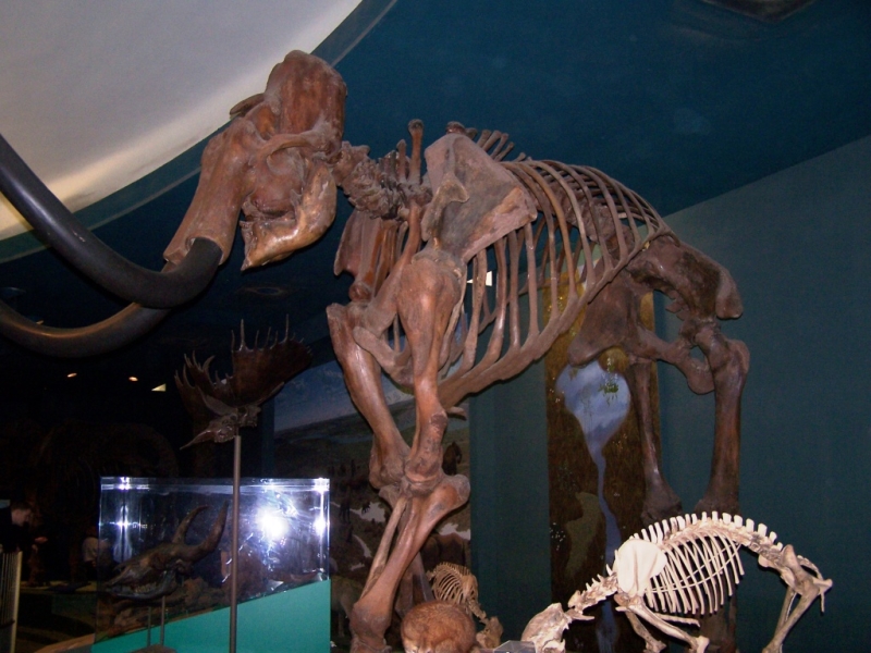 2010-01-ScoutDCMuseums-035.jpg