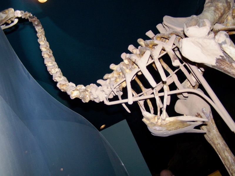 2010-01-ScoutDCMuseums-039.jpg