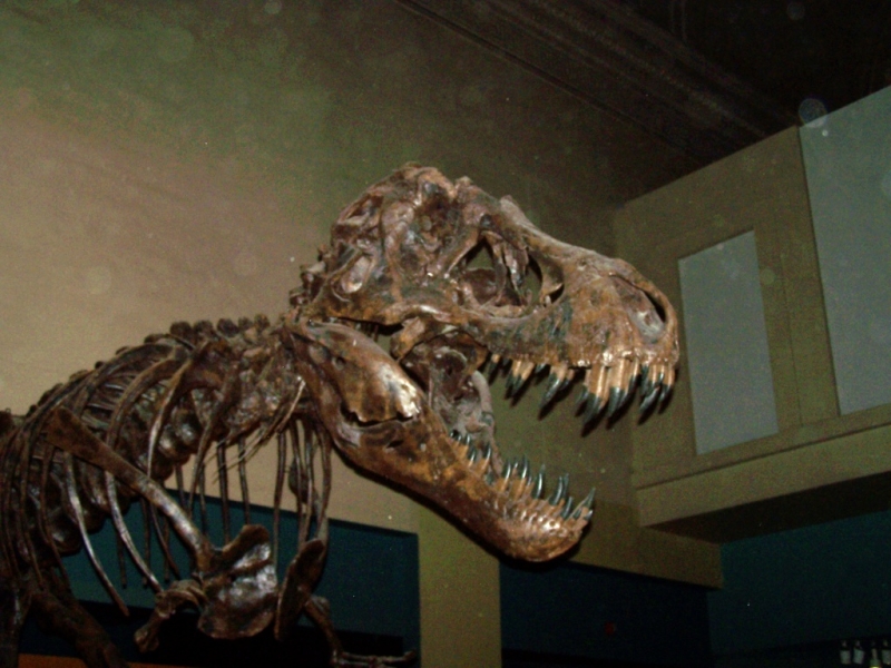 2010-01-ScoutDCMuseums-048.jpg