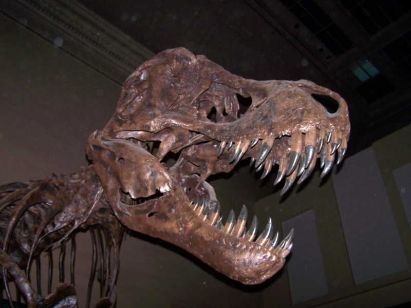 2010-01-ScoutDCMuseums-049.jpg