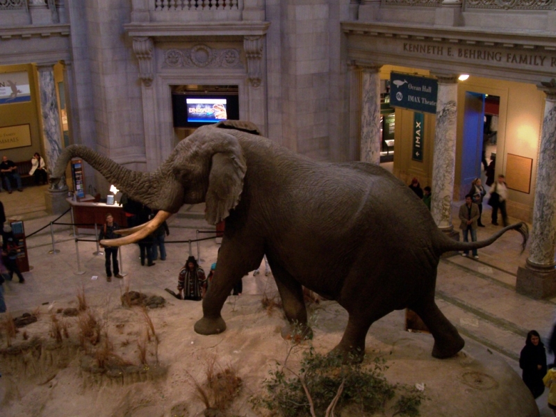 2010-01-ScoutDCMuseums-053.jpg