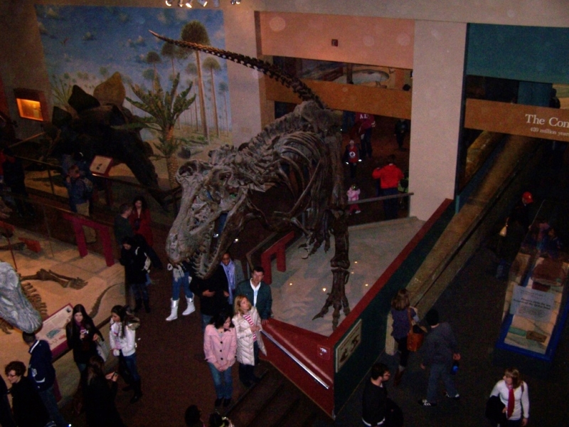 2010-01-ScoutDCMuseums-056.jpg