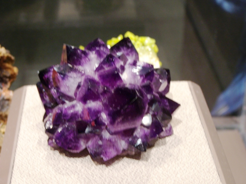 2010-01-ScoutDCMuseums-062.jpg