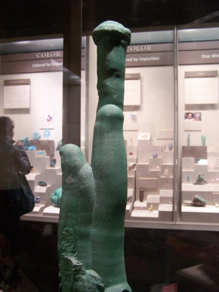 2010-01-ScoutDCMuseums-064.jpg