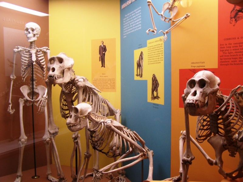 2010-01-ScoutDCMuseums-070.jpg